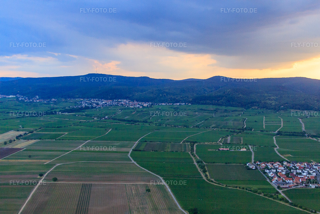 Luftbild: Winzerdorf am Haardtrand aus Osten im Ortsteil Königsbach in Neustadt im Bundesland Rheinland-Pfalz in Deutschland. Foto: IMG_69290.jpg vom 24.06.2014 durch Werner Riehm/FLY-FOTO.de