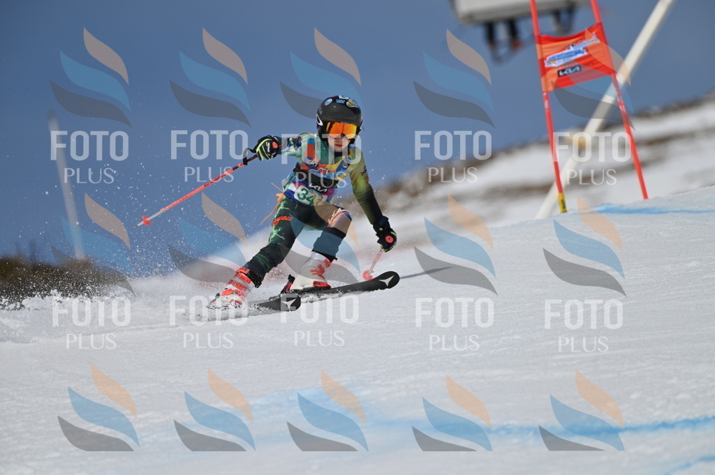 BGV_6776 | holidayphoto