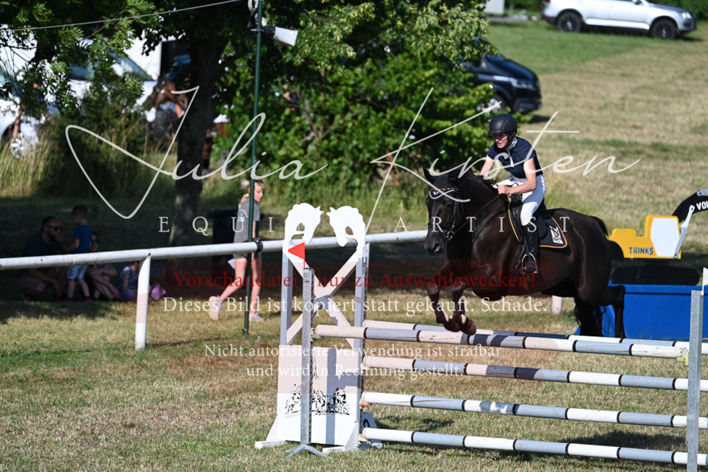 DSC_2554 | Pferde- und Turnierfotografie in Westsachsen. Pferdeportraits, Auftragszeichnungen und intuitive Kunst.