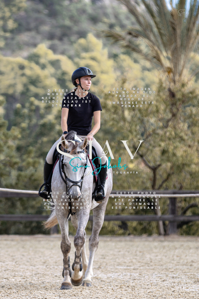 IMG_3270 | s-jay-photography - Realisiert mit Pictrs.com