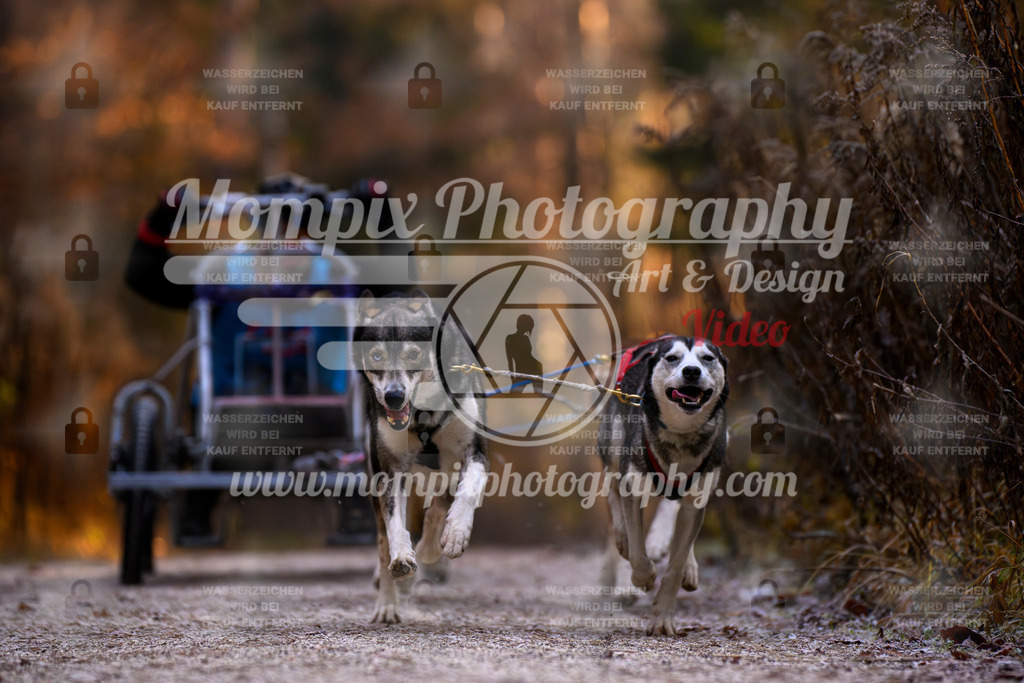 MompixPhotography_DM_AKDM_SO_2025_Wagen-63 | PayLife