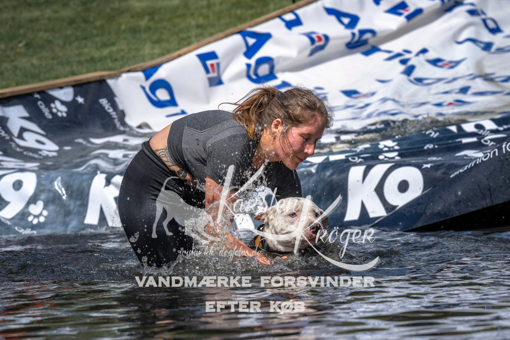 1102_ZZ90419 | kk-dogfotos