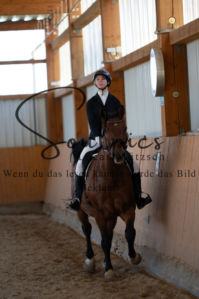 A7V01765 | Pferdefotograf