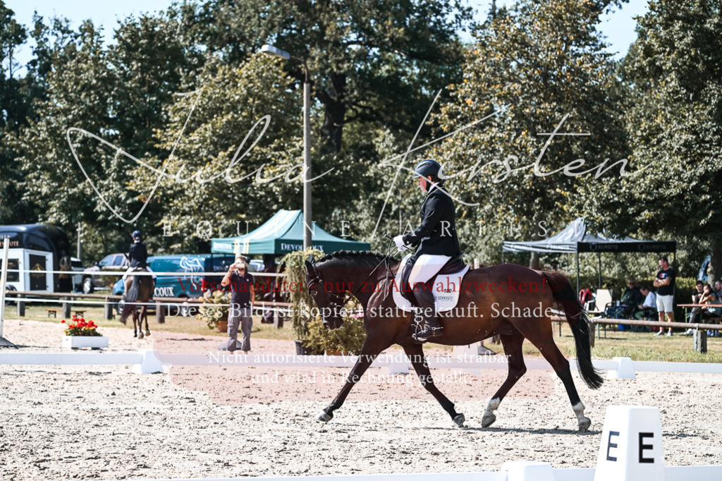 DSC_5008 | Pferde- und Turnierfotografie in Westsachsen. Pferdeportraits, Auftragszeichnungen und intuitive Kunst.