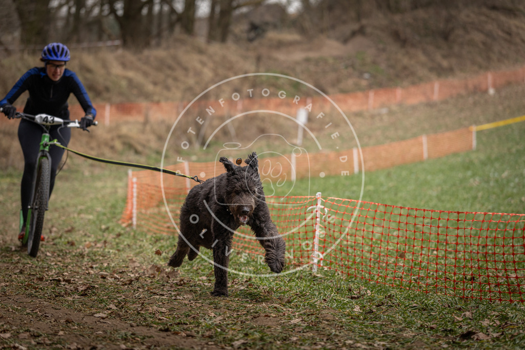 Pfotenfotografie_DV3A0653 | Hundefotografie, Tierfotograf, Pfotenfotografie, Fotoshooting Hund, Hunde Portrait, Hundesport, Hundeportraits, Heideshooting, Hunde, Sportfotograf, Hundefotograf, Turnierhundsport, THS,  - Realisiert mit Pictrs.com