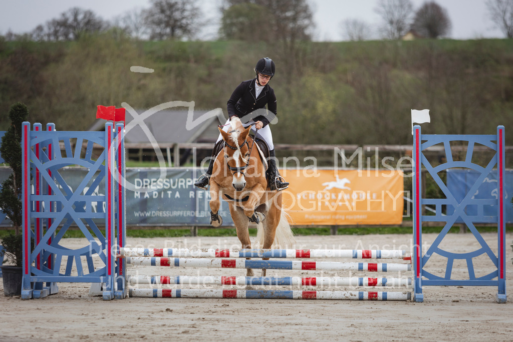 240330_Fruehlingsfest_Stilspring-WB-521 | Deine schönsten Turniermomente als professionelle Fotos! Entdecke hochwertige Pferdesport-Fotografie im Online-Shop. Jetzt Fotos finden & bestellen!