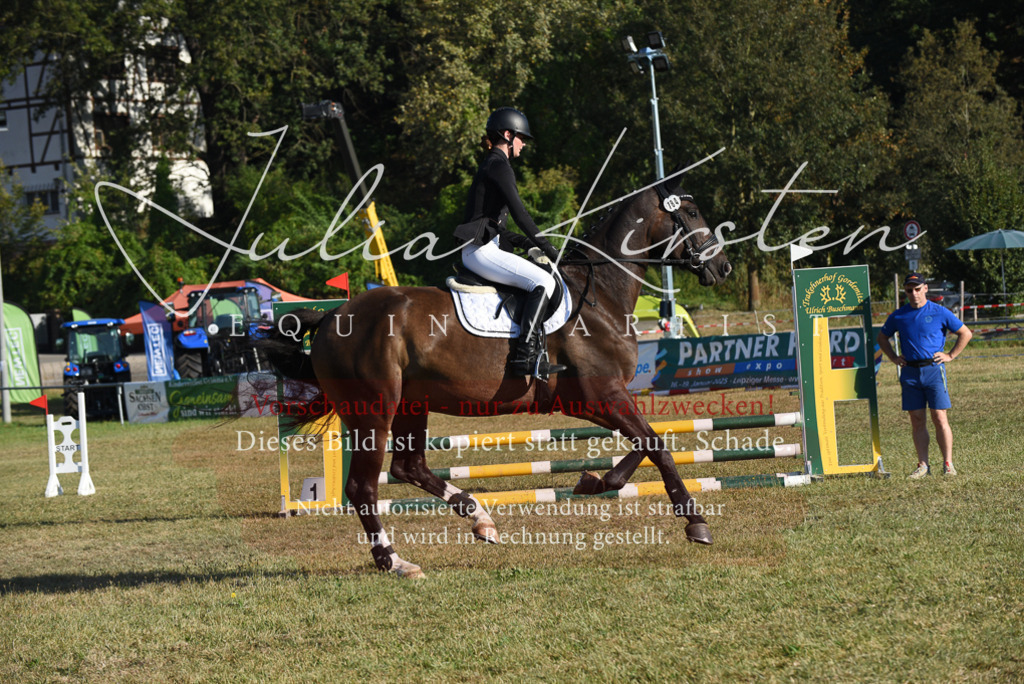 DSC_5143 | Pferde- und Turnierfotografie in Westsachsen. Pferdeportraits, Auftragszeichnungen und intuitive Kunst.