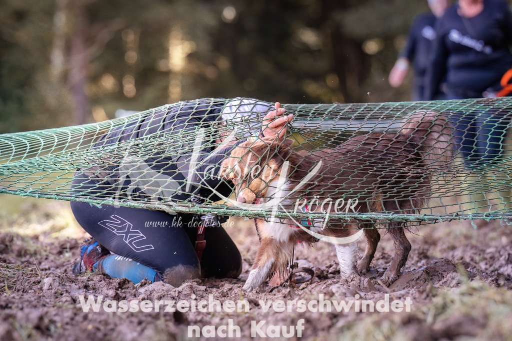 1208_ZZ92471 | kk-dogfotos