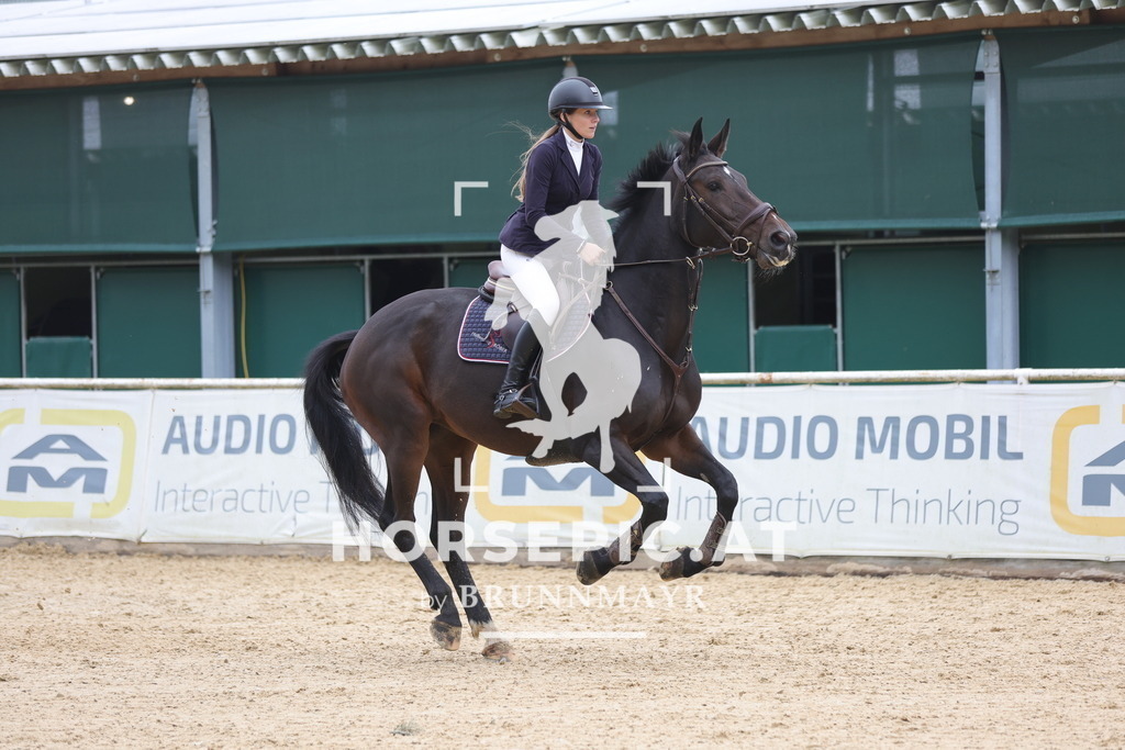 0P6A2654 | Willkommen bei Brunnmayr - Design & Fotografie – Ihrem Spezialisten für Reitturniere und Pferdeveranstaltungen in Oberösterreich, Salzburg und Bayern! Seit über 17 Jahren sind wir leidenschaftlich dabei.