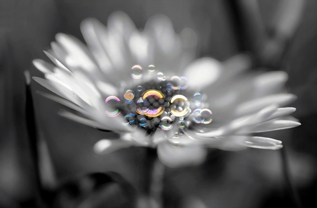 1000117144 | Kaufen sie online außergewöhnliche Fotografien auf Leinwand Acrylglas Fotoprint Aludibond von holgerweigeltfotografie - Realisiert mit Pictrs.com