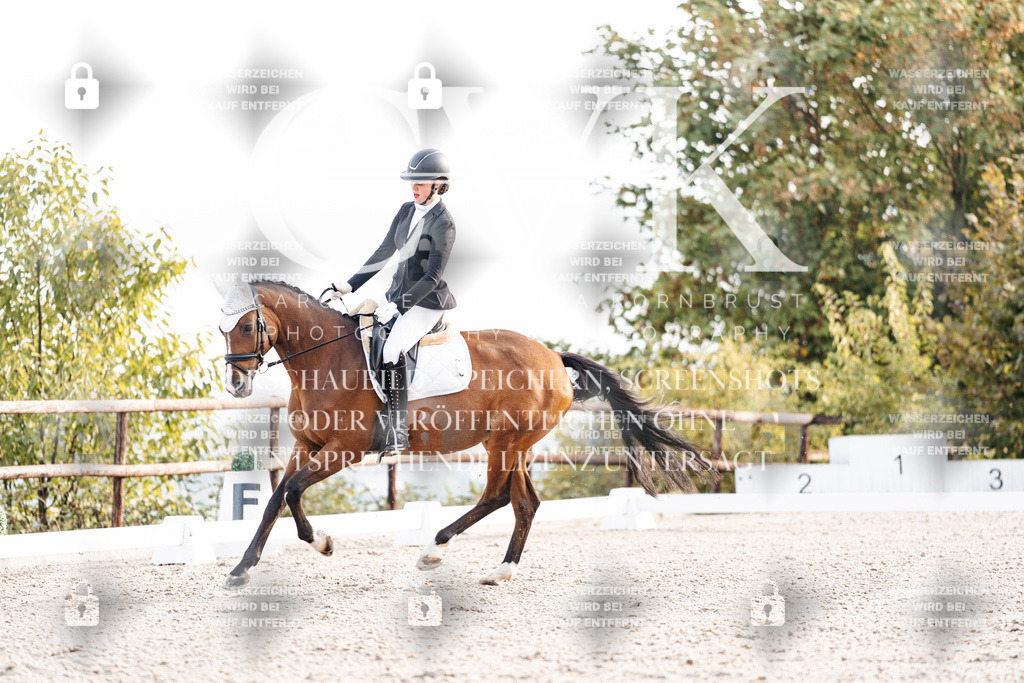 CK900450 | Turnierfotografie Pferdefotografie Trier Rheinland-Pfalz Pferdesport Reitsport Tierfotografie Sportfotografie Pferdevideo Pferdevideografie Equestrianvideography equestrianphotography  - Realisiert mit Pictrs.com