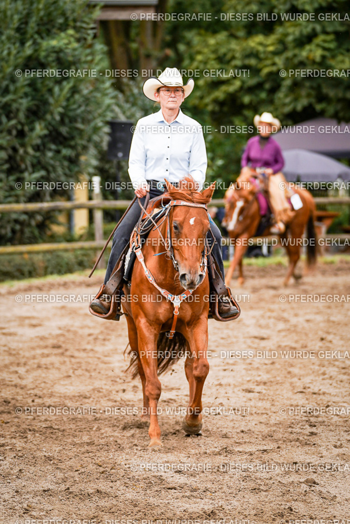 DSC08582 | Pferdegrafie