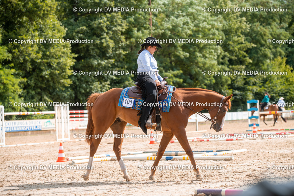 ZS3_9382 | dv-media-shop - Realisiert mit Pictrs.com