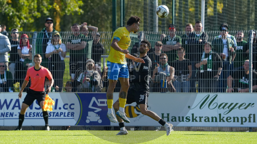 Fußball, Herren, Saison 2025/2026, Regionalliga Nordost, 10. Spieltag, FSV 63 Luckenwalde vs. BSG Chemie Leipzig, Samstag 27.09.2025, Werner-Seelenbinder-Stadion Luckenwalde, | Fußball, Herren, Saison 2025/2026, Regionalliga Nordost, 10. Spieltag, FSV 63 Luckenwalde vs. BSG Chemie Leipzig, Samstag 27.09.2025, Werner-Seelenbinder-Stadion Luckenwalde, Im Bild: Andreas Pollasch (l. Luckenwalde) und Stanley Ratifo (r. Chemie) - Realisiert mit Pictrs.com