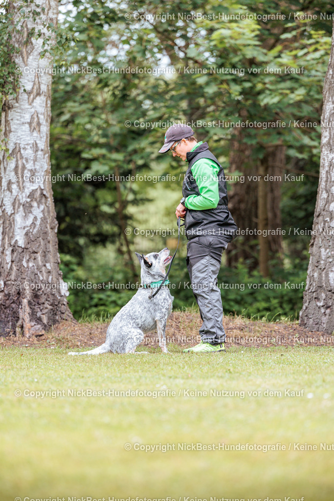 RO-Blumenthal-2026-Nickbest-Hundefotografie-5314 | Dein Hund! Dein Moment! Deine Erinnerungen! Hundefotografie in Bremen Blumenthal. Ich fange die besonderen Momente deines Vierbeiners ein – ob Indoor mit Blitzanlage oder in der freien Natur. Sicher dir dein Moment und dein Termin für eure Erinnerungen.