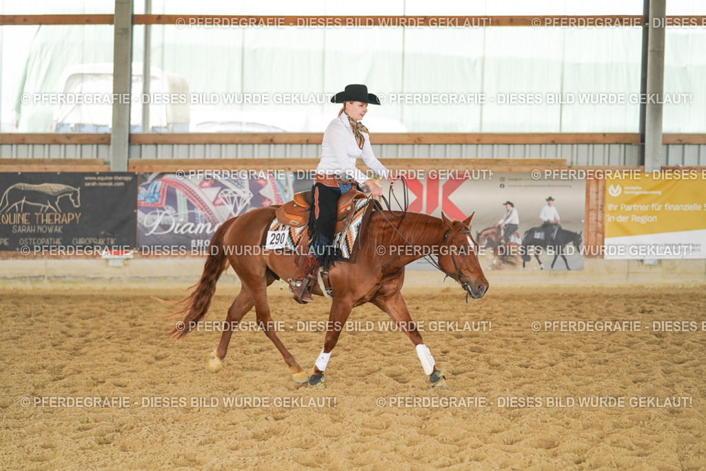 DSC06013 | Pferdegrafie