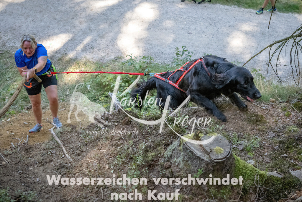 1216_ZZ93829 | kk-dogfotos