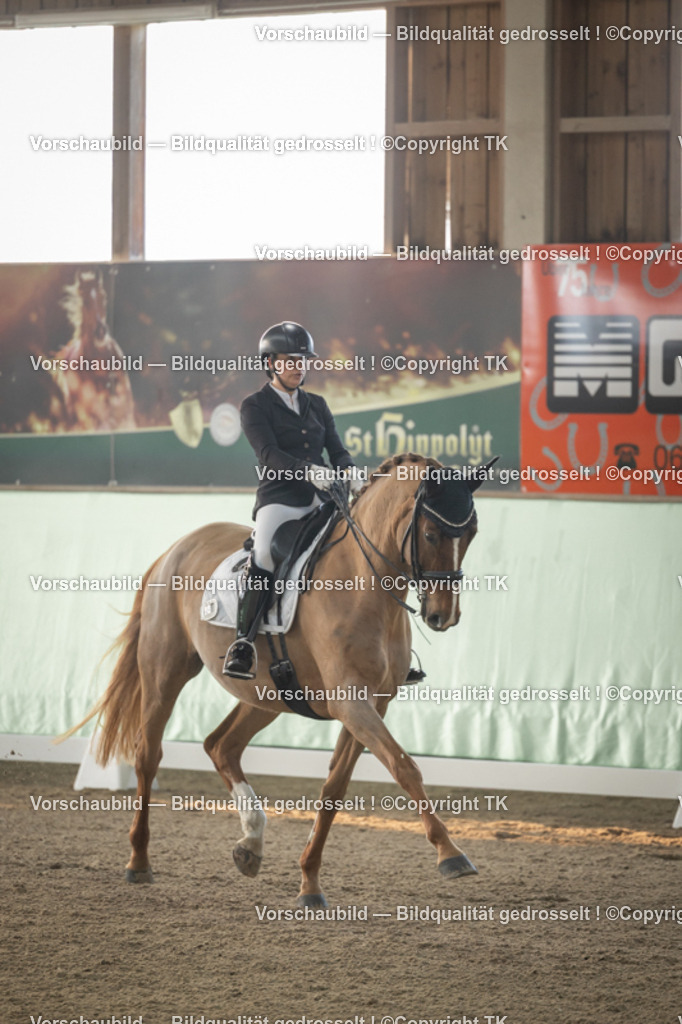 _D5A3974 | Emotionale Pferde- & People-Fotografie rund um Heidelberg, Leimen & Umgebung. Natürliche Fotos von Pferd, Mensch & Familie. Jetzt Termin sichern!