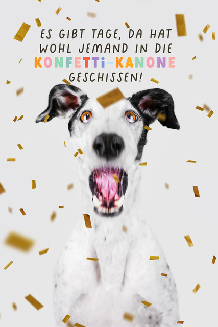Patch hat Sorge vor der Konfetti-Kanone | "Es gibt Tage, da hat wohl jemand in die Konfetti-Kanone geschissen!"