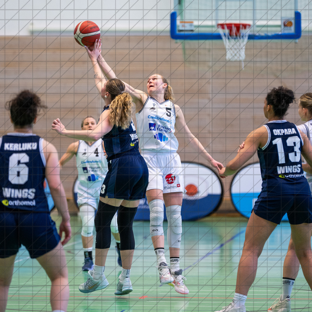 2. DBBL Nord 25/26 | Spieltag 23 | BBC Osnabrück vs. Wings Leverkusen | 22.03.26: 2. DBBL Nord 25/26 | Spieltag 23 | BBC Osnabrück vs. Wings Leverkusen / Osnabrück / Deutschland  //   CREDIT:www.bullenfotos.de, Martin König, Hörner Weg 40, D-49078 Osnabrück, +4917663732967 // Nutzung und Weitergabe nur zu den vereinbarten Zwecken. Presseanfragen an Ersteller. Alle Rechte beim Ersteller. Honorierung nach MFM. - Realisiert mit Pictrs.com