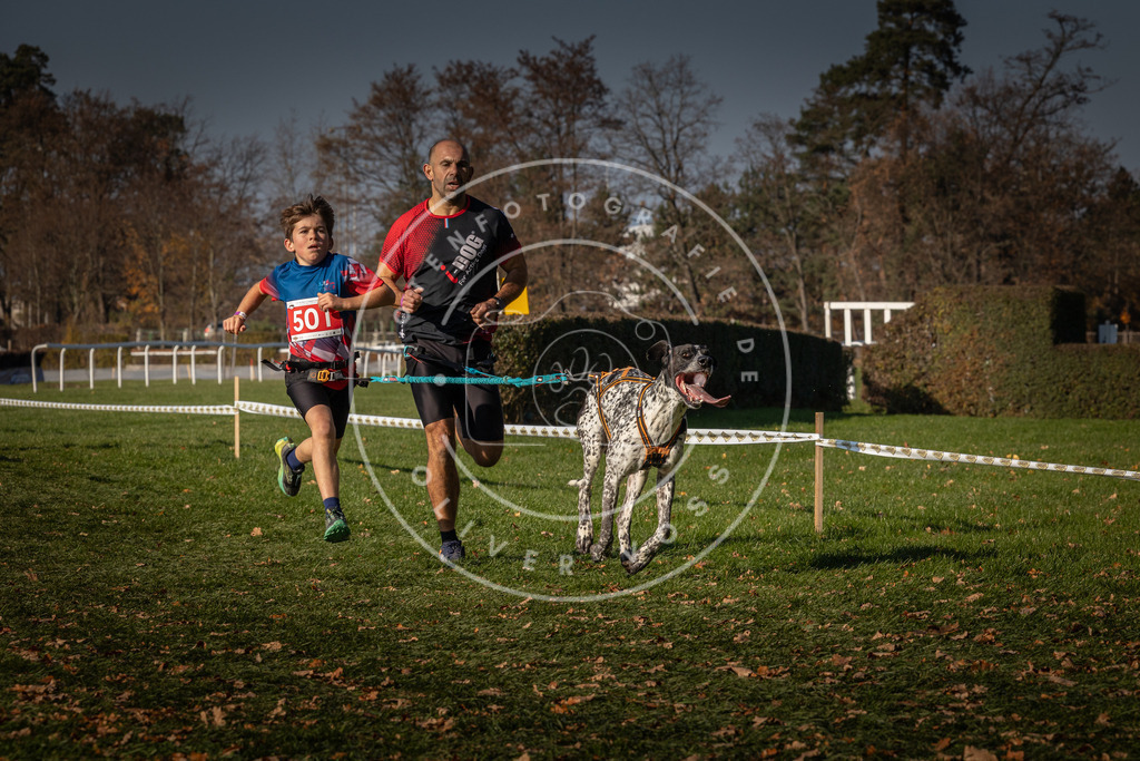 CaniXpix_0L8A8234 | Hundefotografie, Tierfotograf, Pfotenfotografie, Fotoshooting Hund, Hunde Portrait, Hundesport, Hundeportraits, Heideshooting, Hunde, Sportfotograf, Hundefotograf, Turnierhundsport, THS,  - Realisiert mit Pictrs.com