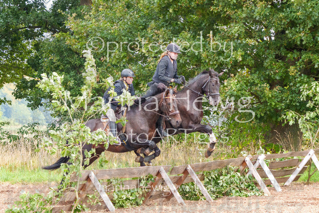 Jagd Perdoel_MarinaHewigMCH04343 | Fotografie, FotoArt, PferdesportArt, Pferdesportfotografie, Landschaftsfotografie, Reisefotografie, Reise, Pferde - Realisiert mit Pictrs.com