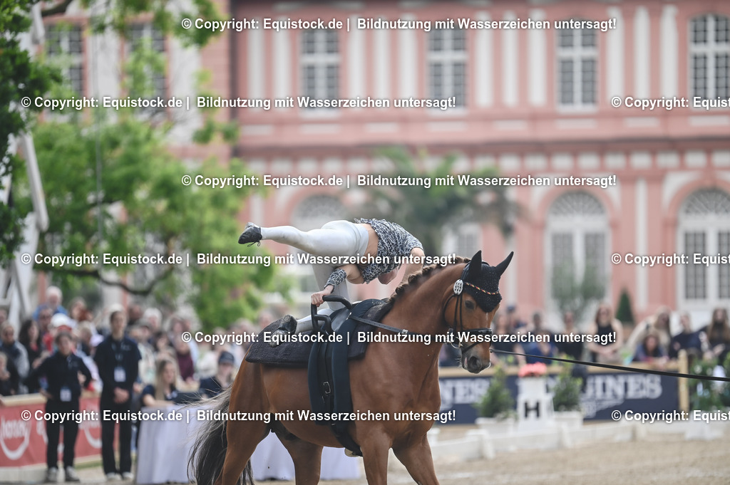 20240519_Voltige_0588 | Foto: Thomas Hartig