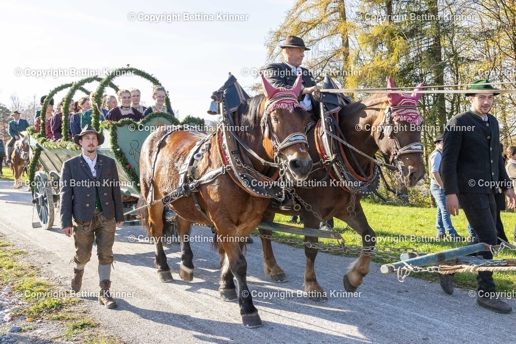 LBT24-1591 | foto-bettina-krinner - Realisiert mit Pictrs.com