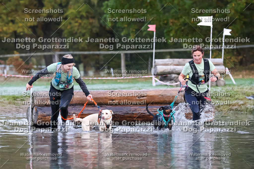 Dog Paparazzi - Strongdog 10-25-6238 | Dog Paparazzi Jeanette Grottendiek Fotografie & Videografie - Realisiert mit Pictrs.com