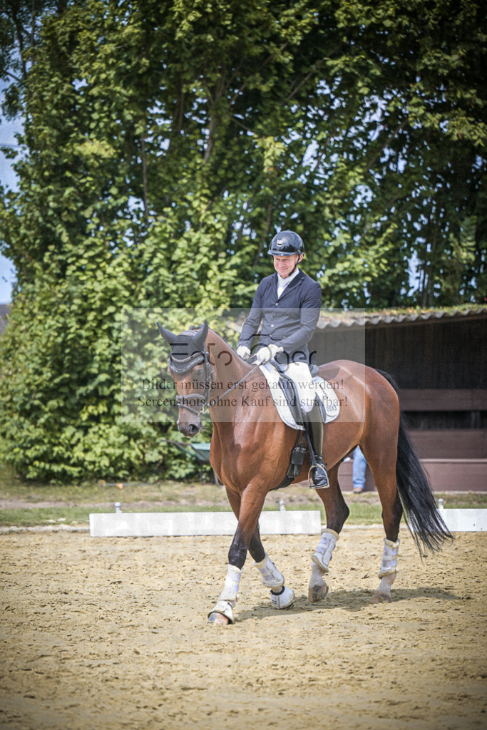 DOS_0262 | Entdecke hochwertige Reitturnierfotos von Foto Oger. Professionell, emotional und authentisch – jetzt Lieblingsmomente im Shop bestellen.Deutschlandweite Turnierfotografie. - Realisiert mit Pictrs.com