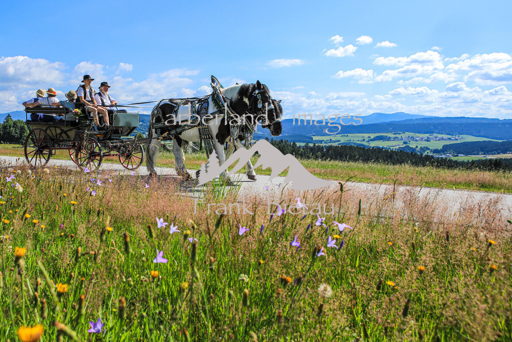 OE7A9859 | Medien- Sport- Entertainmentfotos