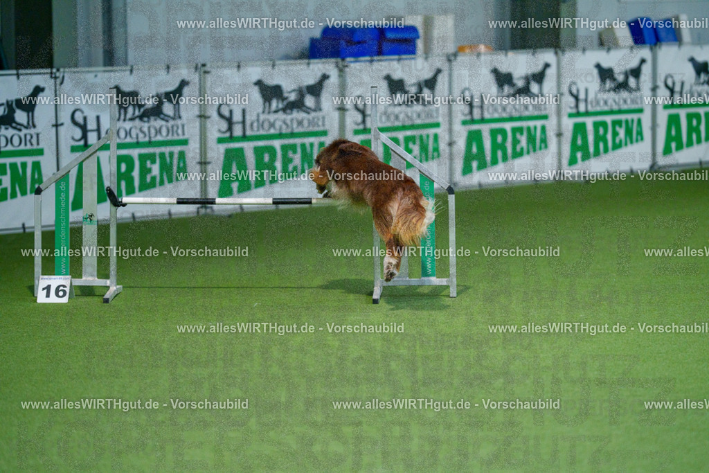 @allesWIRTHgut_Tierfotografie - www.allesWIRTHgut.de - 2604250811-7R505646 | Professionelle Tierfotografie in Mönchengladbach von Daniel Wirth (allesWIRTHgut). Liebevolle & natürliche Bilder von Hunden & Katzen für unvergessliche Erinnerungen.