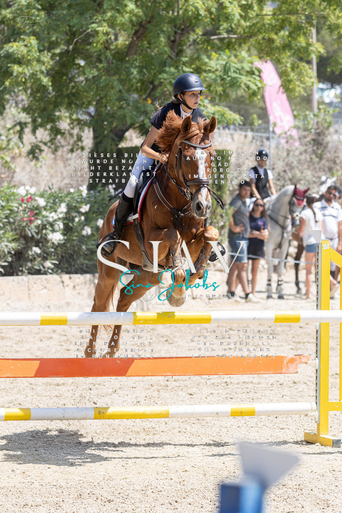 IMG_7944 | s-jay-photography - Realisiert mit Pictrs.com