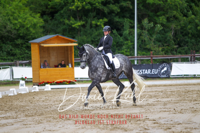 DKP47306 | Turniersportfotografie; Pferdefotografie; Dressurfotografie