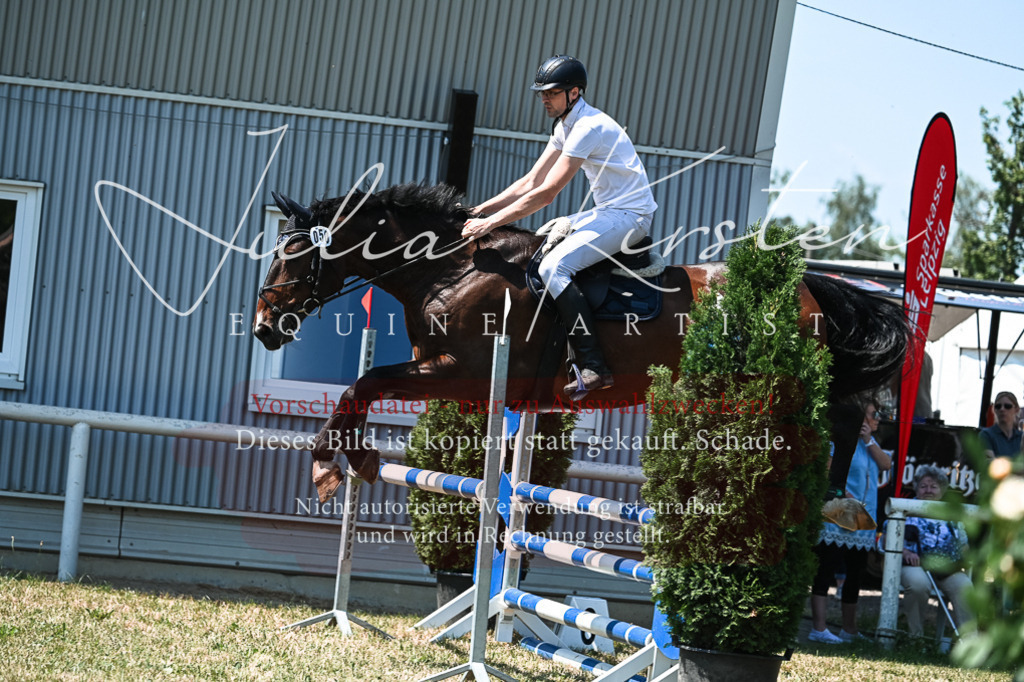 DSC_0468 | Pferde- und Turnierfotografie in Westsachsen. Pferdeportraits, Auftragszeichnungen und intuitive Kunst.