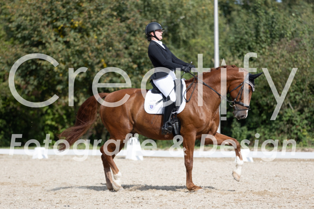 IMG_3959 | Creatify Fotografie