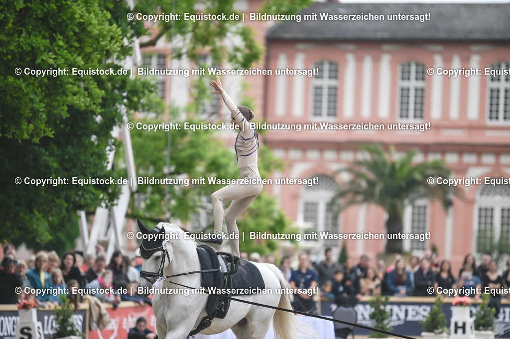 20240519_Voltige_0261 | Foto: Thomas Hartig