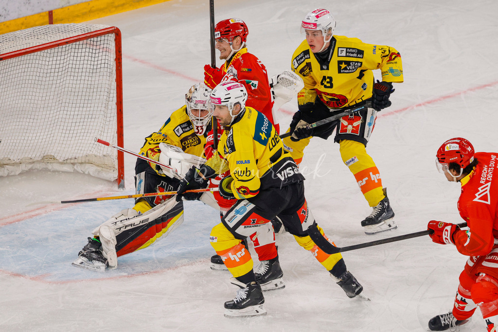 EHCB vs SCB 20260110_wb-2925 | Sportbilder, Sportfotograf, Hochzeits- und Eventfotografin, Flugshows, Portraits und Tiershooting, Aviation, Downhill, Nationalleague, Swissleague, International