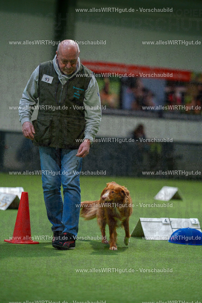 7R504346 | Professionelle Tierfotografie in Mönchengladbach von Daniel Wirth (allesWIRTHgut). Liebevolle & natürliche Bilder von Hunden & Katzen für unvergessliche Erinnerungen.