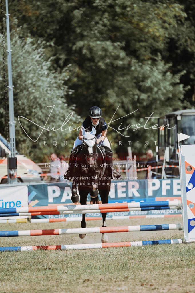 DSC_9839 | Pferde- und Turnierfotografie in Westsachsen. Pferdeportraits, Auftragszeichnungen und intuitive Kunst.