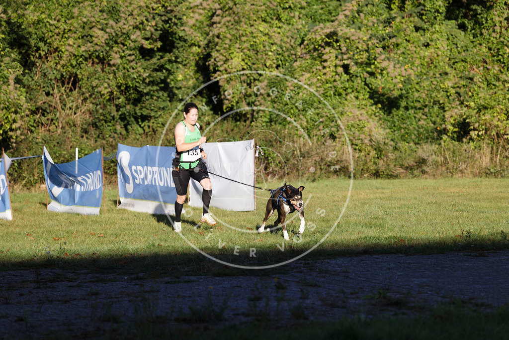 0L8A4918 | Hundefotografie, Tierfotograf, Pfotenfotografie, Fotoshooting Hund, Hunde Portrait, Hundesport, Hundeportraits, Heideshooting, Hunde, Sportfotograf, Hundefotograf, Turnierhundsport, THS,  - Realisiert mit Pictrs.com