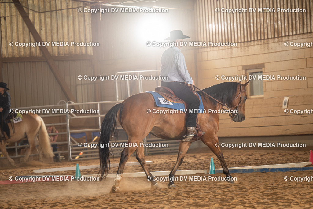 NID02520 | dv-media-shop - Realisiert mit Pictrs.com