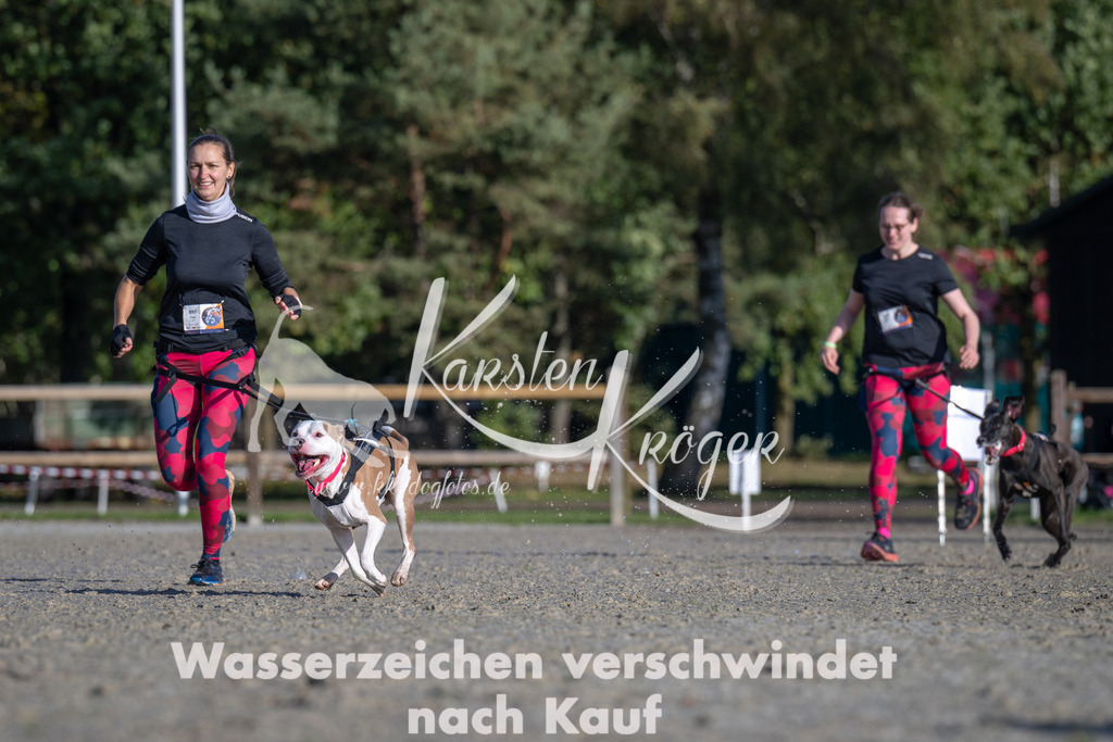 1049-_ZZ92895 | kk-dogfotos