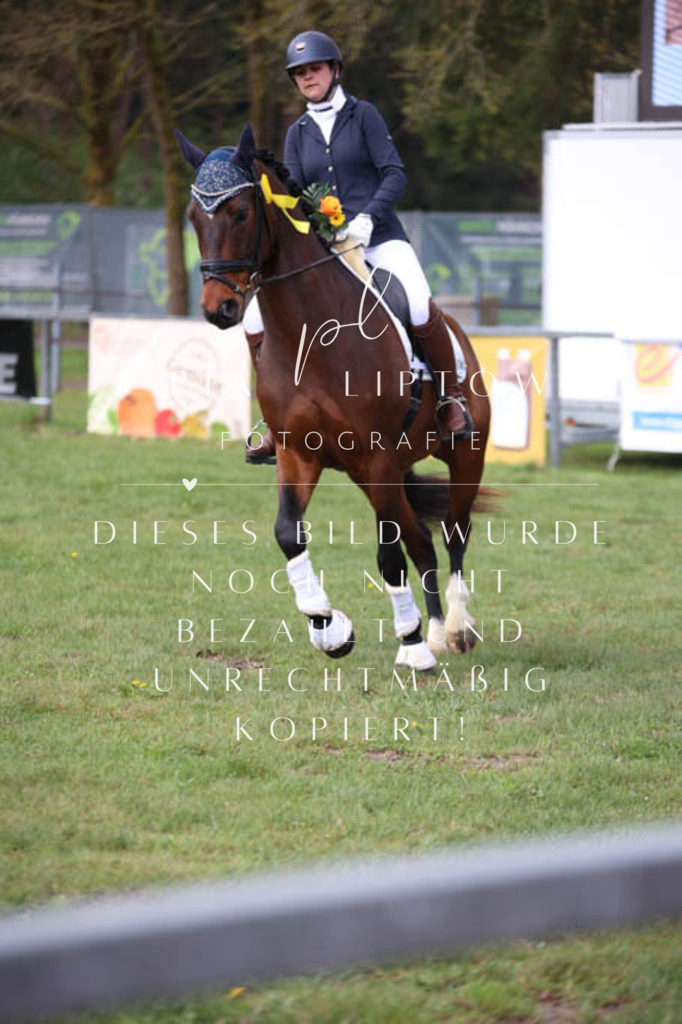 IMGT3467 | pl-fotografie