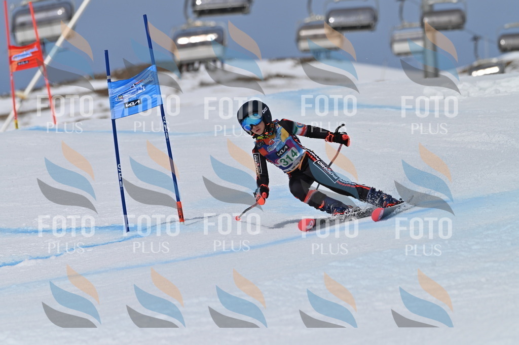 BGV_6222 | holidayphoto