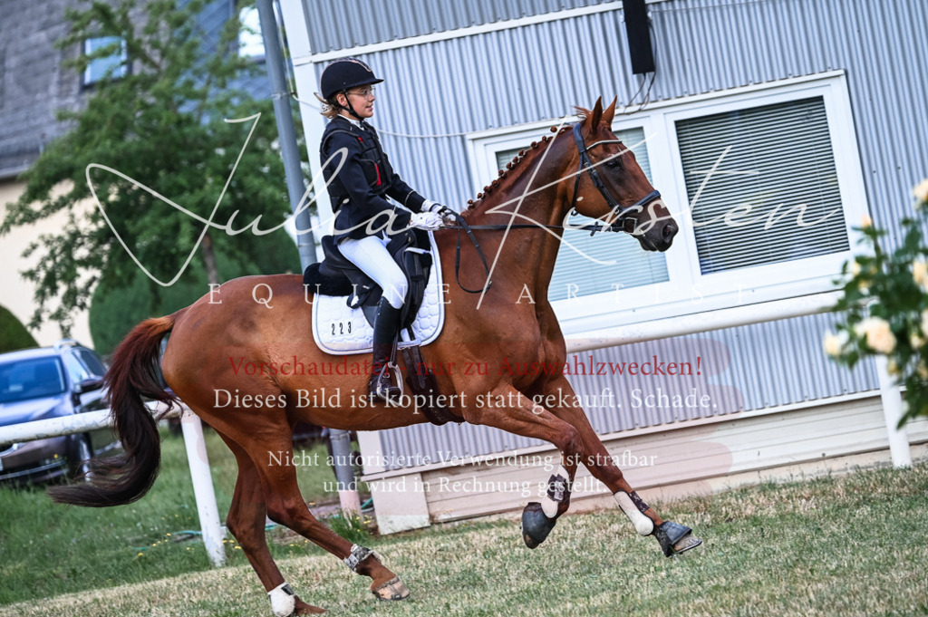 DSC_8441 | Pferde- und Turnierfotografie in Westsachsen. Pferdeportraits, Auftragszeichnungen und intuitive Kunst.