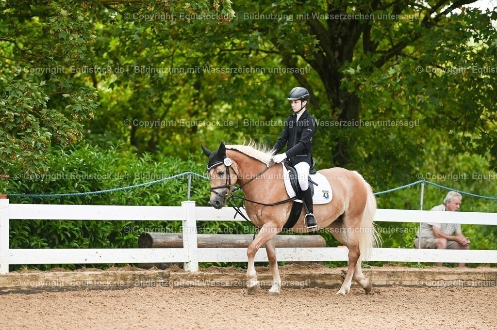 20230716_10-1_Reiter-WB Schritt - Trab - Galopp_0008 | equistock