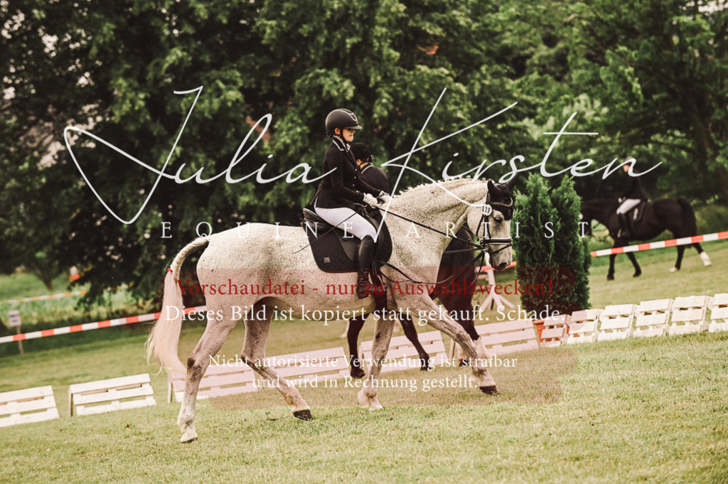 DSC_4970 | Pferde- und Turnierfotografie in Westsachsen. Pferdeportraits, Auftragszeichnungen und intuitive Kunst.