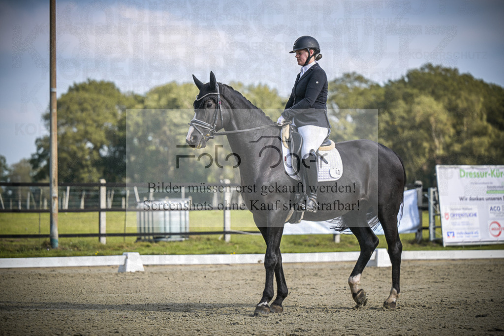 DOS_B731 | Entdecke hochwertige Reitturnierfotos von Foto Oger. Professionell, emotional und authentisch – jetzt Lieblingsmomente im Shop bestellen.Deutschlandweite Turnierfotografie. - Realisiert mit Pictrs.com