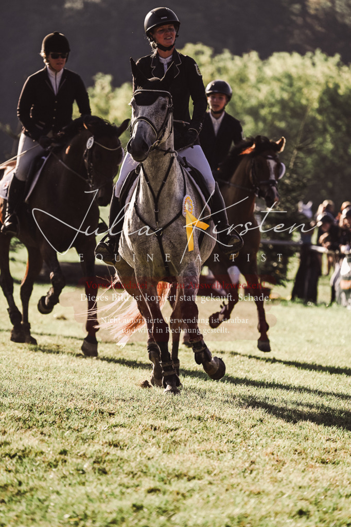 DSC_4662 | Pferde- und Turnierfotografie in Westsachsen. Pferdeportraits, Auftragszeichnungen und intuitive Kunst.